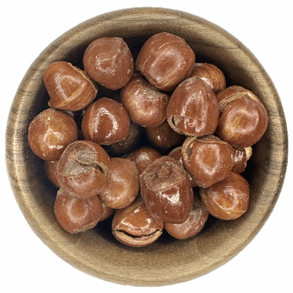 فندق شور اعلا